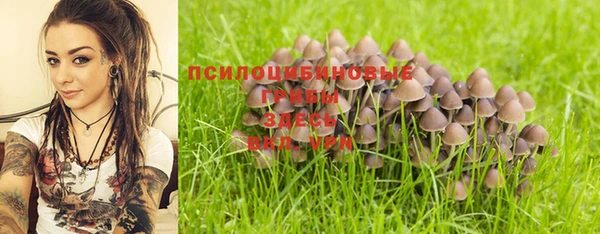 твердый Белоозёрский