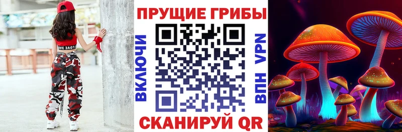 Псилоцибиновые грибы мицелий  Сыктывкар 